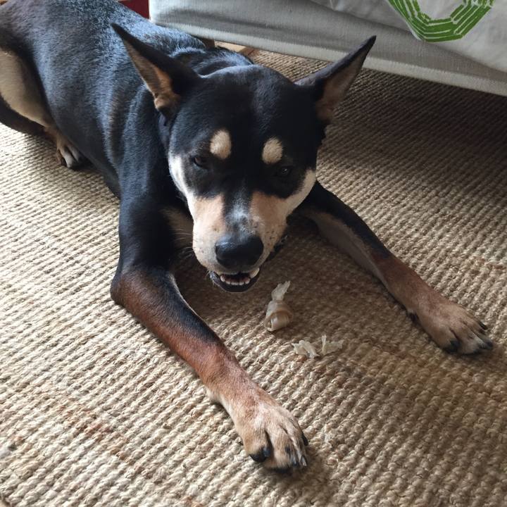 Cffa0fff 4a06 42cb 9e80 7c6723e974e7 1519524309135