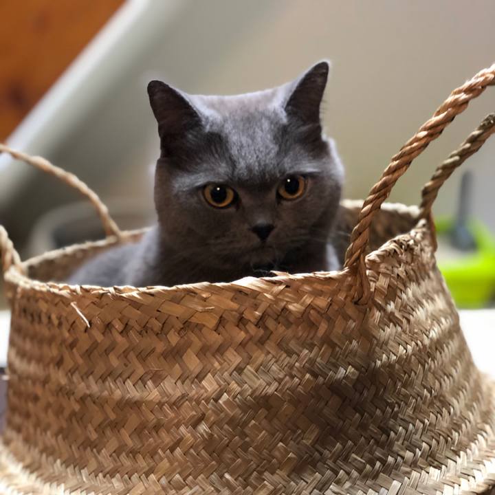 Cffa1374 8582 40dd 84c9 788cf296ab84 1554475872783