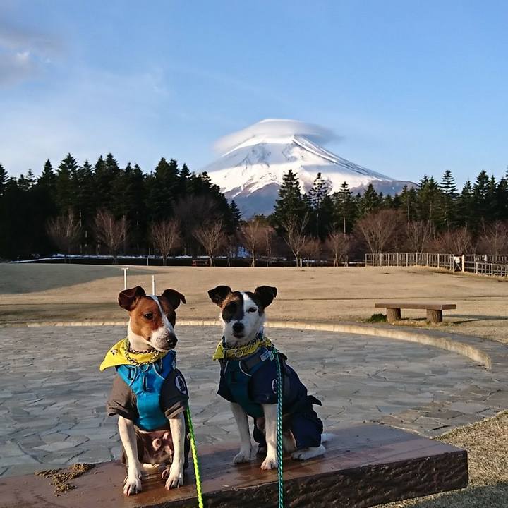 Cffa6727 beb8 4894 a8af 746ccd6b52a7 1555192172302