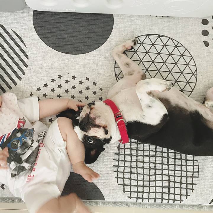 Cffada67 d527 46e2 9bfe db2e774f67b6 1528072830703