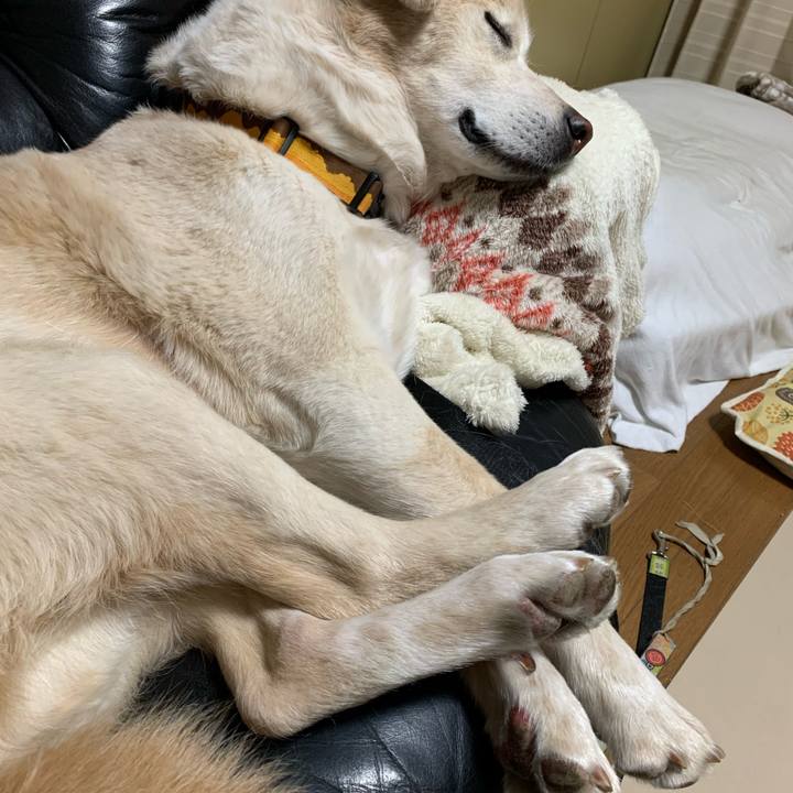 Cffb1043 2e0b 47ae 90ff 4385607b303c 1641730488688