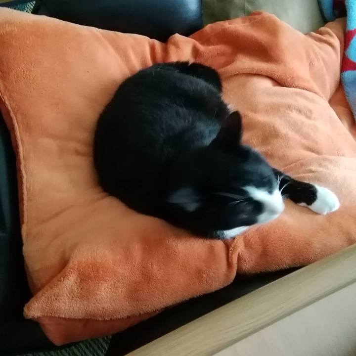 Cffb3234 c985 4d5c 902b 5114e8a42cd9 1563803860470