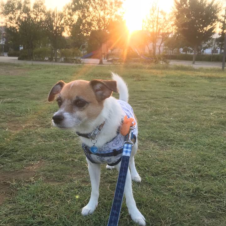 Cffb33c2 e0a4 4f12 8487 9a830c403a59 1535664757075