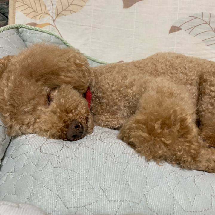 Cffb44fb 95a0 4ddf 8df6 1ca0de496d58 1560174522008