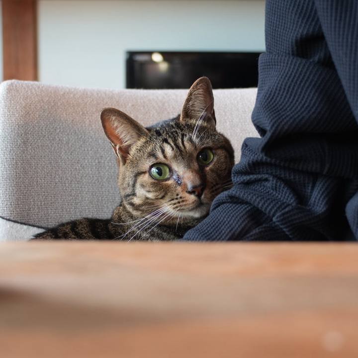 Cffb4825 4966 4838 971f 788bd158f6f3 1746918408814