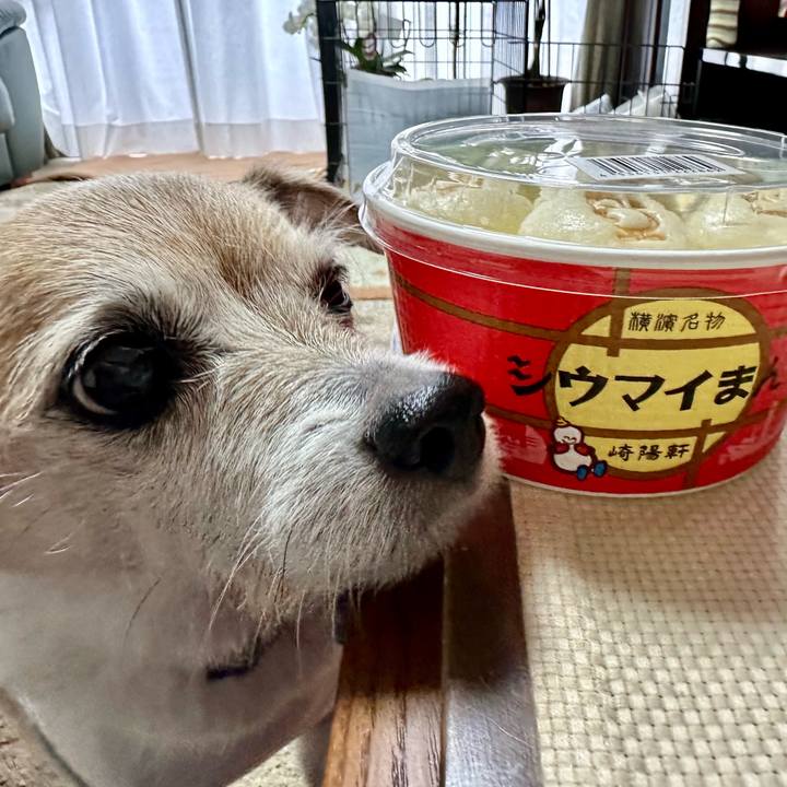 Cffb5a9b d175 4a6e ab69 5487a11cdcc5 1718261109274