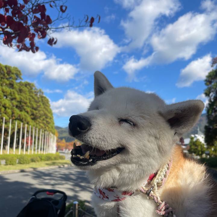 Cffb5b9e 8524 412c a0ea a4b9eb052c1b 1763194634811