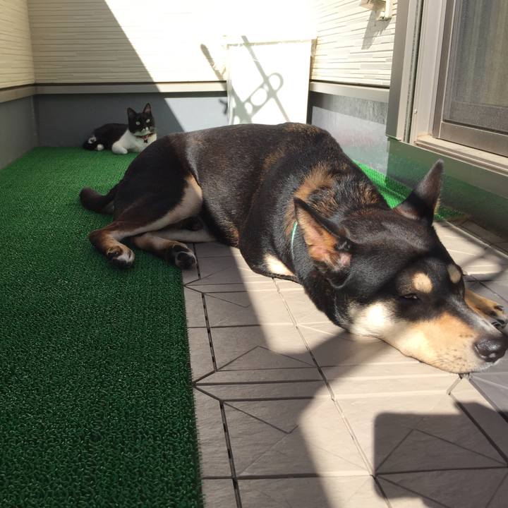 Cffb923b 5f1d 44ab 8713 aaa8dd34ad93 1529102466822