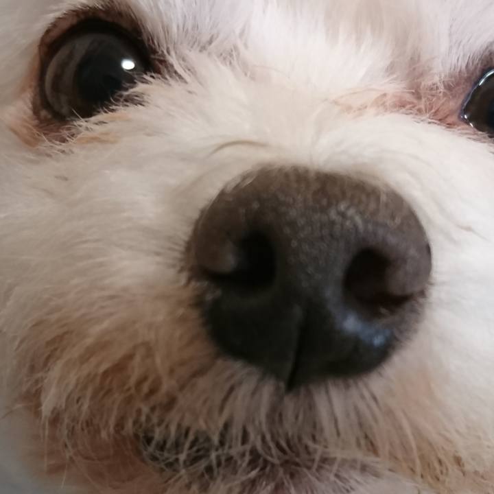 Cffba098 a83c 4dd0 9c9f ef046474cc9b 1523757372040