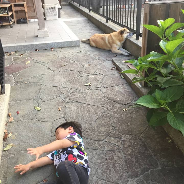 Cffbb286 2118 4f25 a40f 6764b7bdfc27 1529329991732