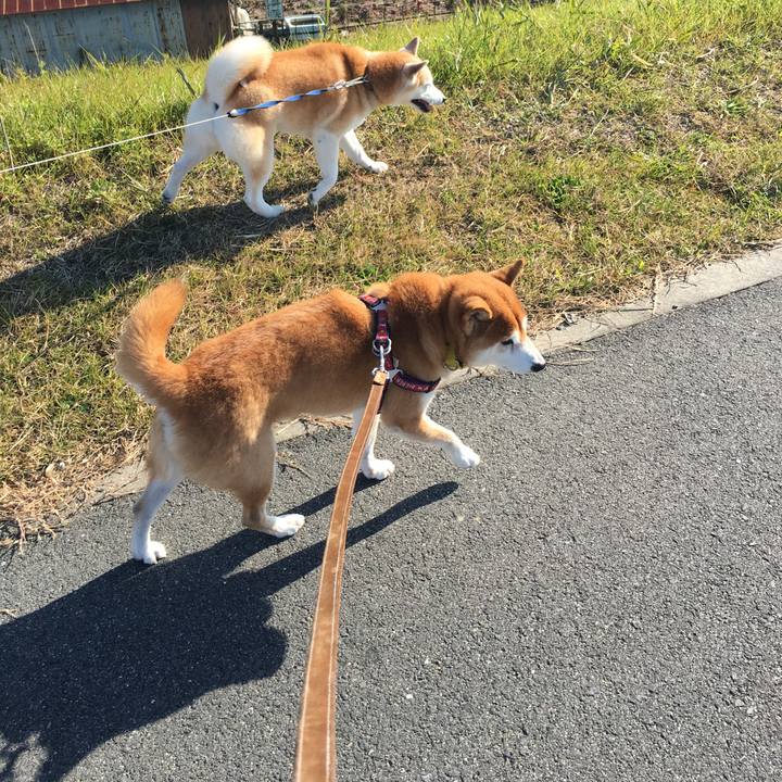 Cffbcaf7 dae4 4968 a7ab 964e8d9c0ded 1512877667488