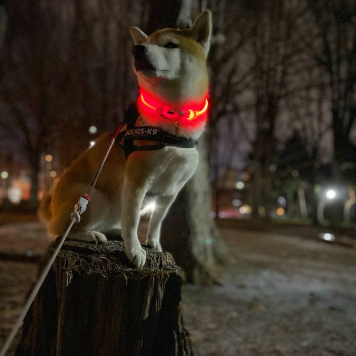 Cffc0a15 20f5 43a2 b3a2 0fb3950525ea 1638612280983