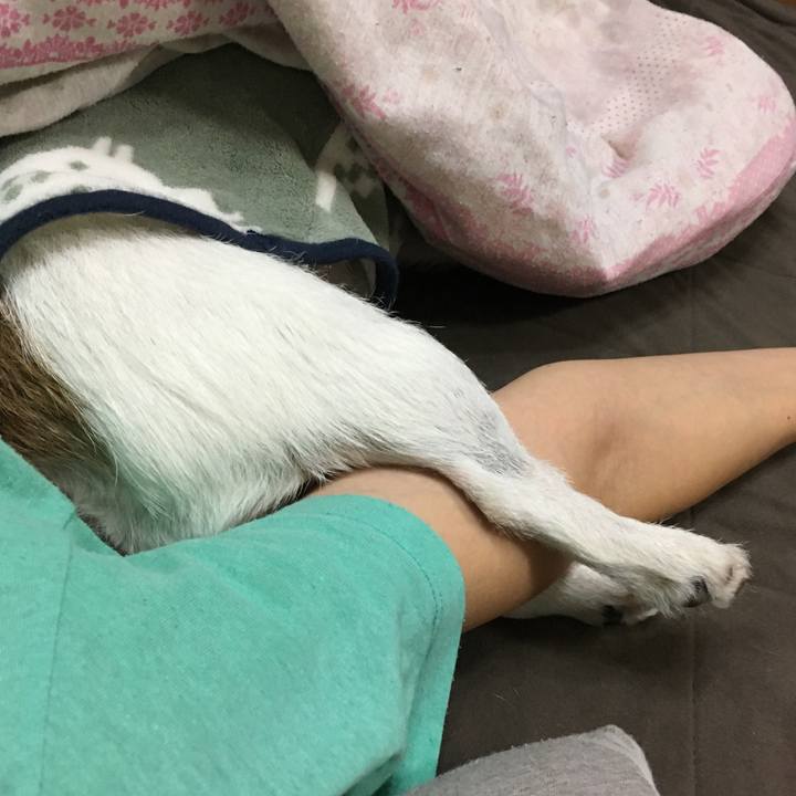 Cffc13ad 2737 4f20 ad3f 73ad98308d40 1606433375289