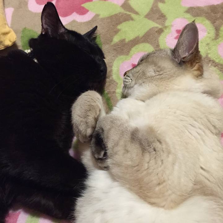 Cffc1b82 0689 4767 a61c 9def59bc2917 1516275391538