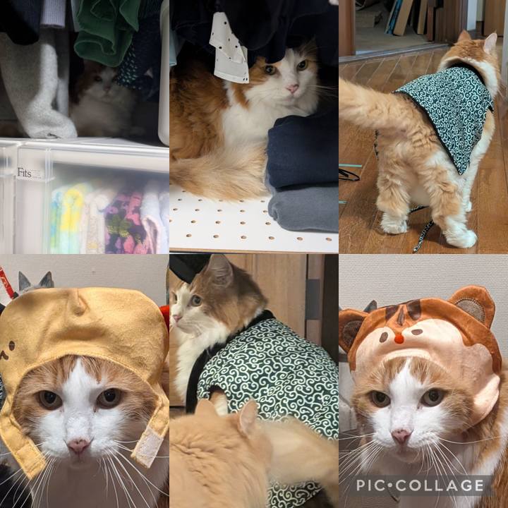 Cffc3eba ce47 482b 8887 9011738d0710 1760964667801