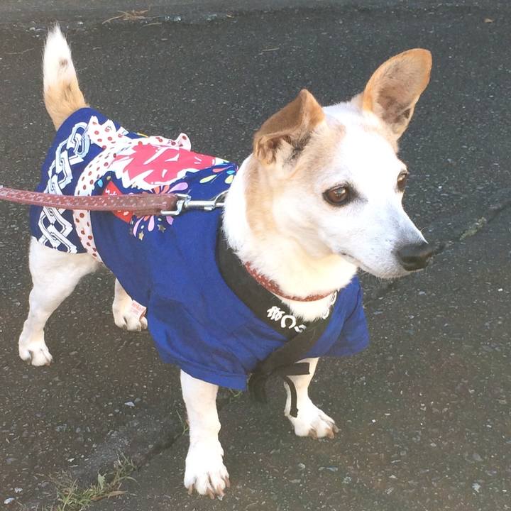 Cffc45df 690b 4f24 b4be 314594e7535d 1539572746320