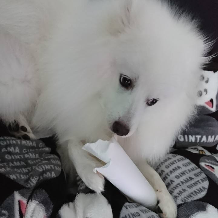 Cffc65f2 aca6 4ef8 afa3 1c578e86a046 1564719409714