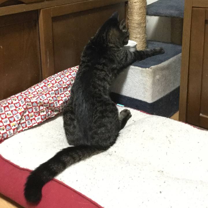 Cffc69c9 dcb0 4ac9 ba2c c343a5bd0b9b 1578298409299