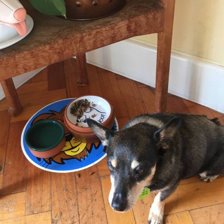 Cffca354 2eec 451b b225 edcf0c73cc45 1763813643959