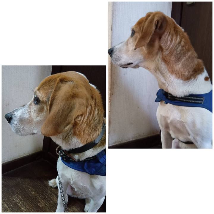 Cffd16c2 b1e3 41ef 9694 2c7738067ca9 1746354127561