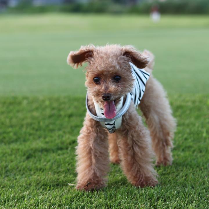 Cffd4f91 2b9a 49c0 a8f3 836086012d53 1604485166351