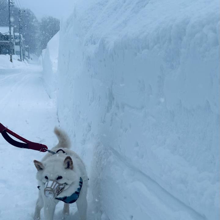 Cffd858d b7c8 4998 a49a 1cc6d216e6af 1738733761859