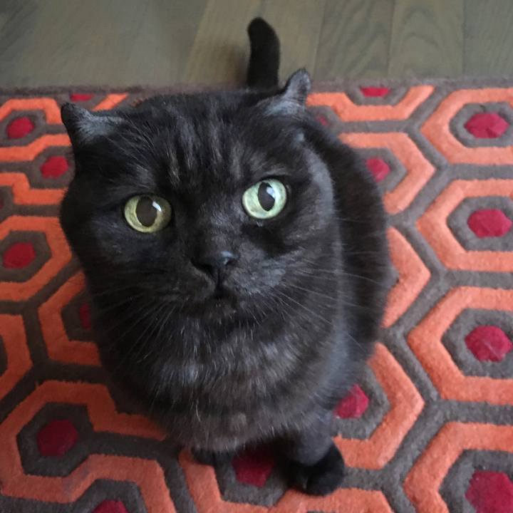 Cffd926c ed7e 4b9d 9452 b8a38624bcb4 1586508197585