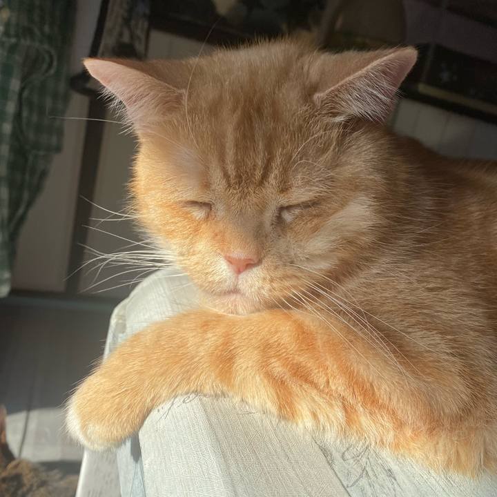 Cffda58c 7ce4 4df1 b1e9 84f075de7988 1637471202450