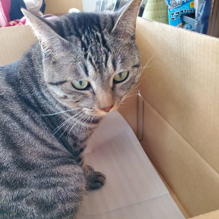 Cffdb175 0f4e 44e3 80c5 84b37cc9a725 1703676950534