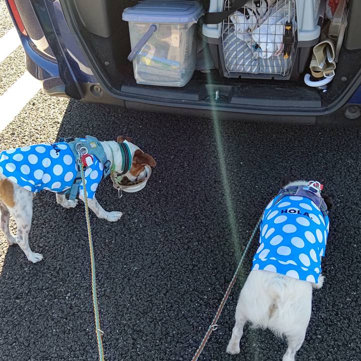 Cffe3b2e 5a3b 4abf a2f2 c211eeb4b9b6 1691619993987