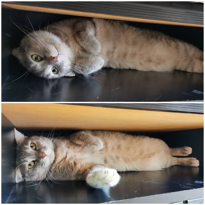 Cffe42b7 407c 4d46 99a3 13b390717309 1618374108387