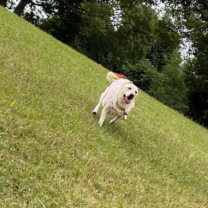 Cffe7def b886 4a30 8777 f5dafb0bf22a 1634895736830