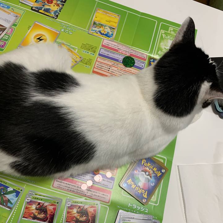 Cffe7e42 c4ff 4eeb 94b4 1f2e83f39a55 1610511145114