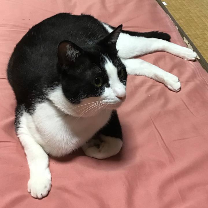 Cffe93f5 c759 4fa9 9347 6ab81ef1326c 1685449471126