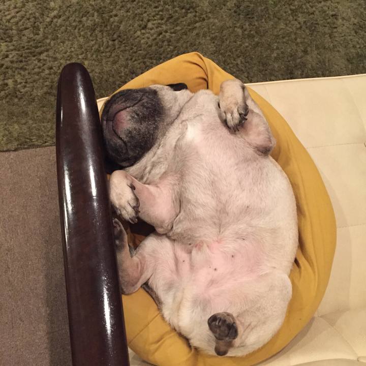 Cffeaec6 daa6 4428 9df5 eaa15ca8b042 1539854387088