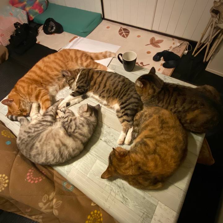 Cffebd2a 10fd 449c b837 31f542b28a4b 1585156341554