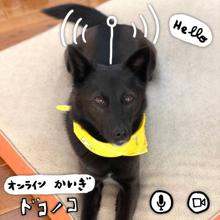 Cffeecdc ec1a 48b4 ab16 f6df964176da 1590827122923