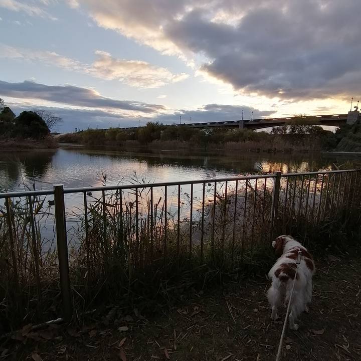 Cffef08f 1464 4d3c 8120 aff31bbf4f5a 1575806843117