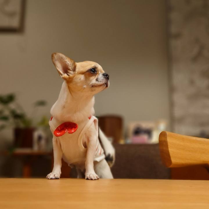 Cfff7f81 2aff 4f61 ba38 5d4af3985d9b 1627816210559