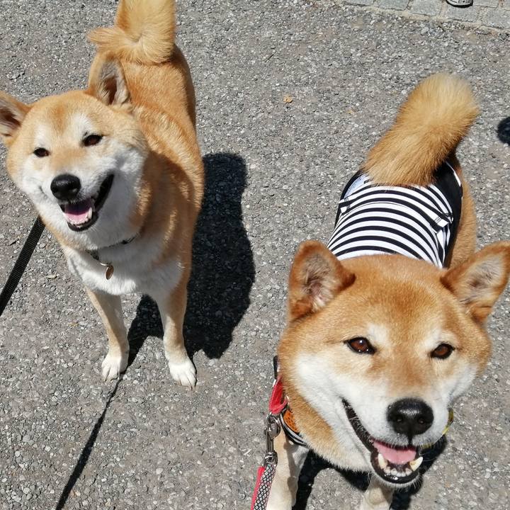 Cfff9d7d 2c62 4f45 9c2a 5d9c0a0eb113 1618069853885