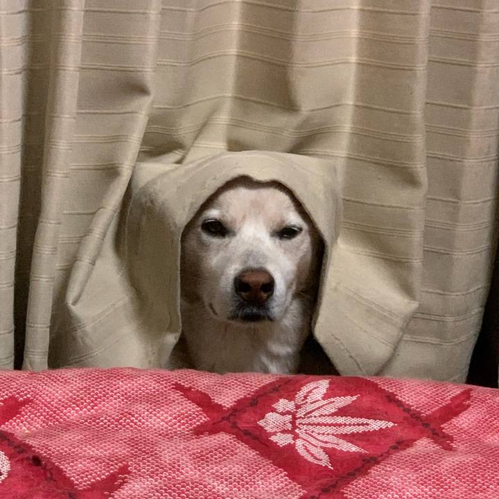 Cfffae6b d471 43ea aca8 a15bb345b686 1664796882480