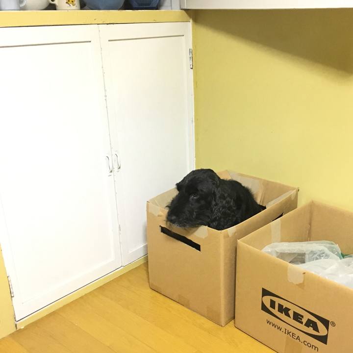 Cfffc120 4b72 4a86 906f eff64b49fa77 1530104845606