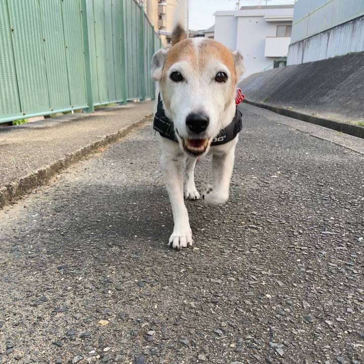 D0002000 2d39 4ecd bec5 ebde9e4707d4 1600813883058