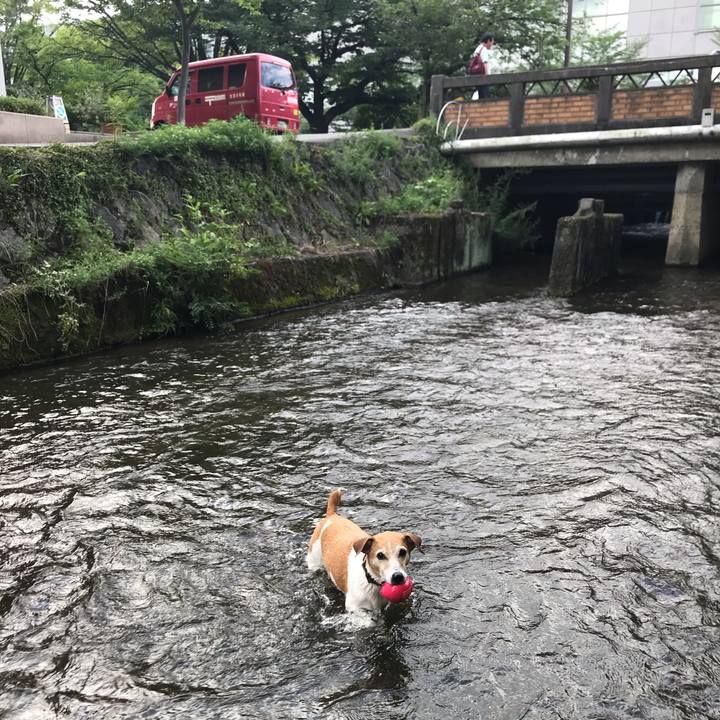 D0003ead 3765 400b 9d56 e1d383133658 1564125919385