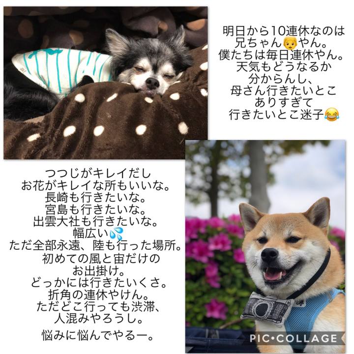 D0008e73 8ecf 4cd5 85dc cb00194ecbc3 1556247998608