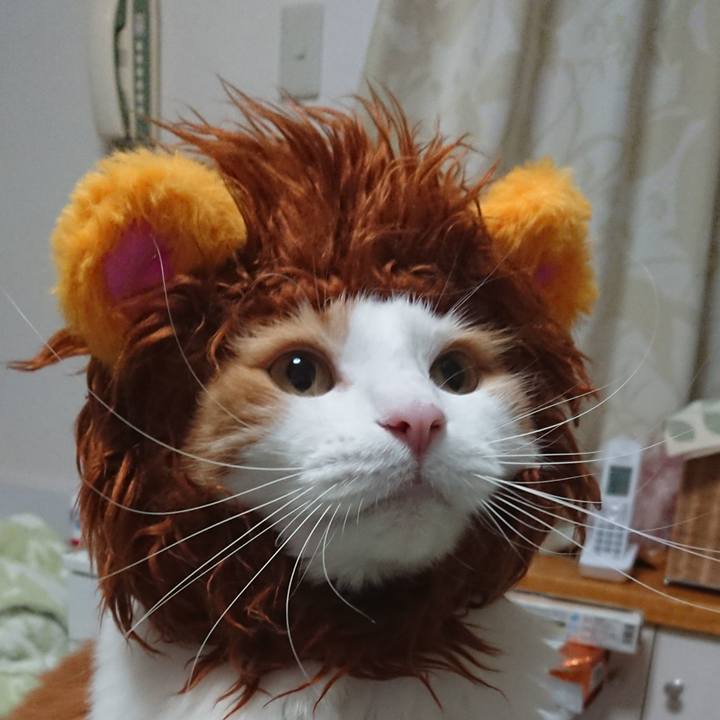 D0009e19 376f 4931 9cbb 2aa5560551a9 1563979733235