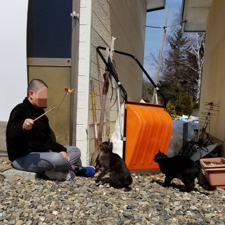 D000a631 2292 4de2 9a28 aa7973f96ad6 1585975644337