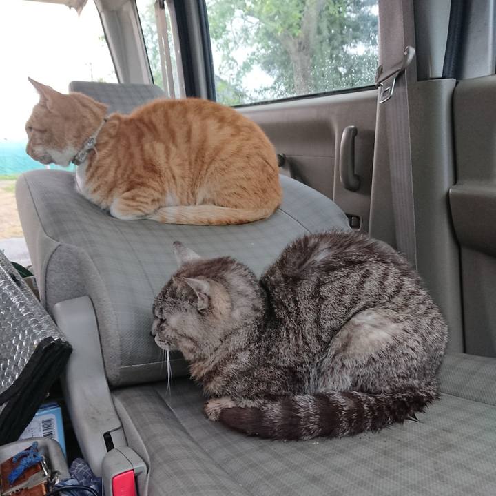 D000a82b e00b 46b8 8f35 13173e169909 1592857826942