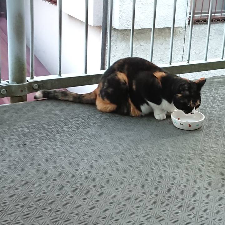 D000c373 665c 4956 8991 5503106bdab5 1666486231238