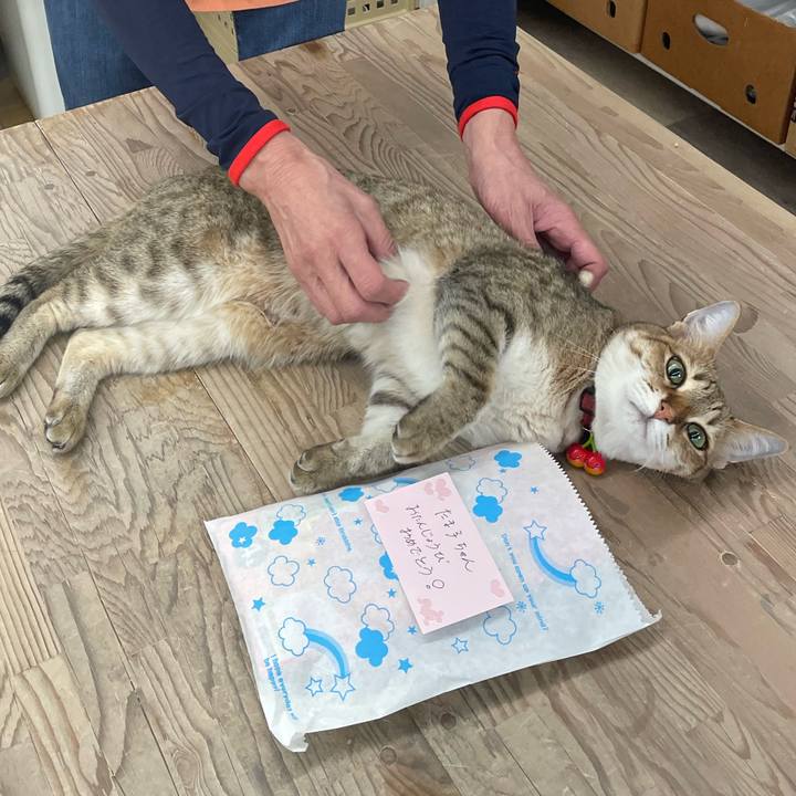 D000c627 60d8 41d8 9da5 b92aca8e946e 1720010819684